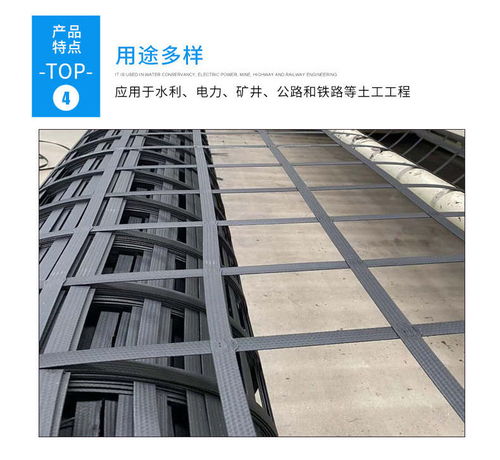 重慶鋼塑土工格柵在線咨詢 重慶渣土場鋼塑土工格柵